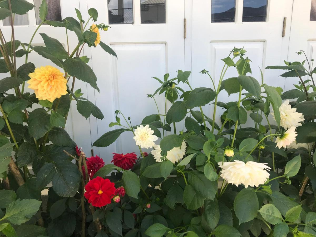 Dahlia Mount View Hotel Nuwara Eliya Zewnętrze zdjęcie