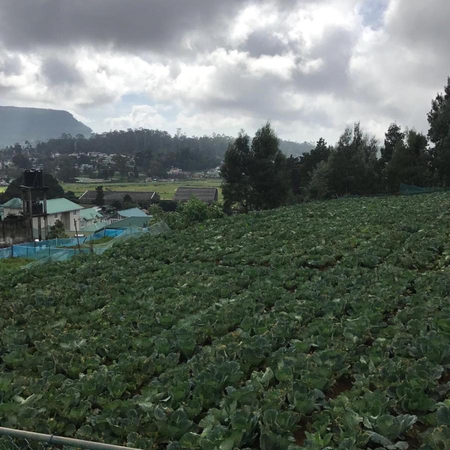 Dahlia Mount View Hotel Nuwara Eliya Zewnętrze zdjęcie